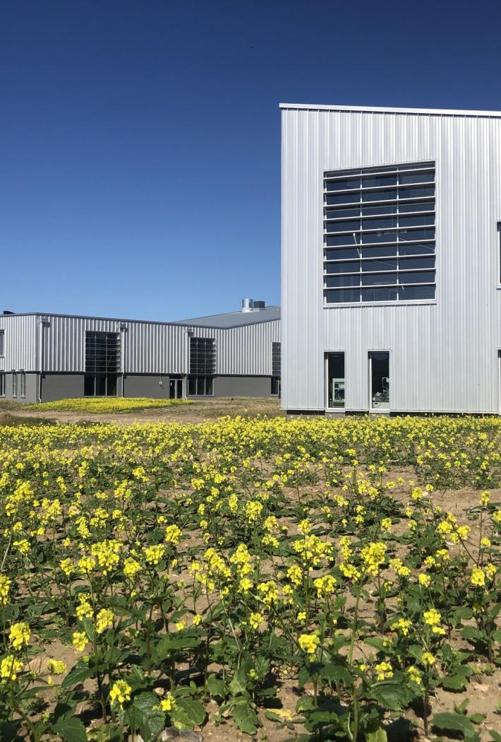 Campus Kalundborg